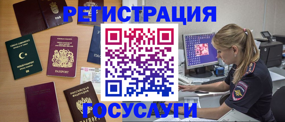 прописка для школы в Тосно